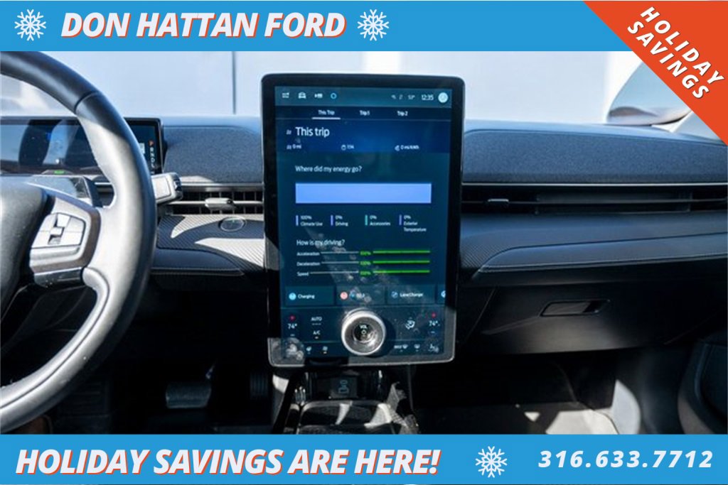 Used 2021 Ford Mustang Mach-E Premium image 8