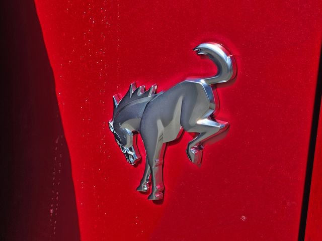 New 2025 Ford Bronco Badlands image 16