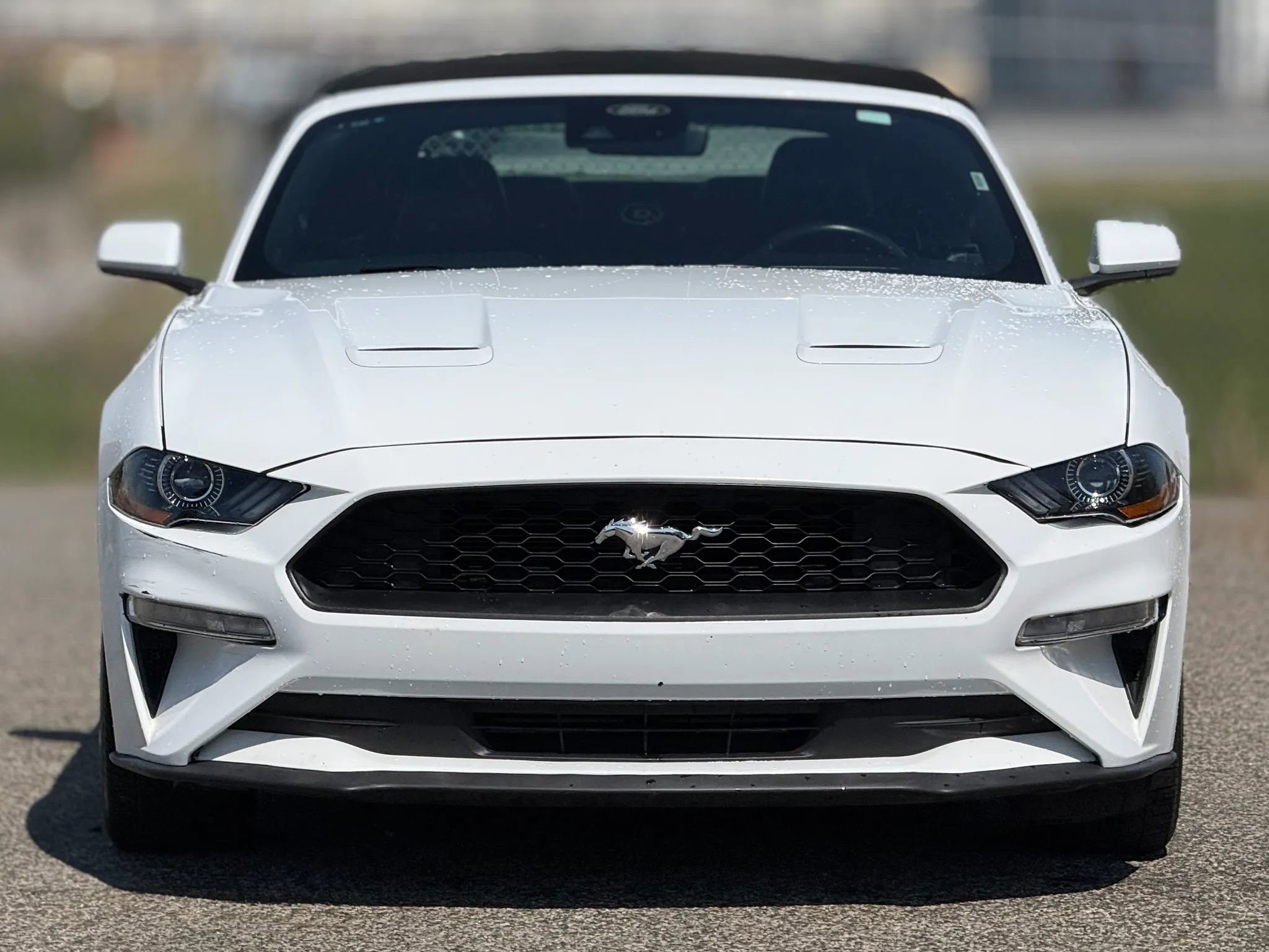 Used 2023 Ford Mustang Premium RWD image 5