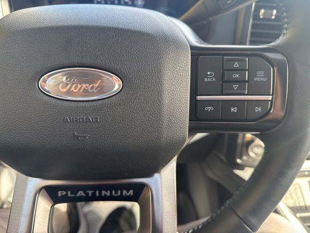 New 2026 Ford F250 Platinum image 20