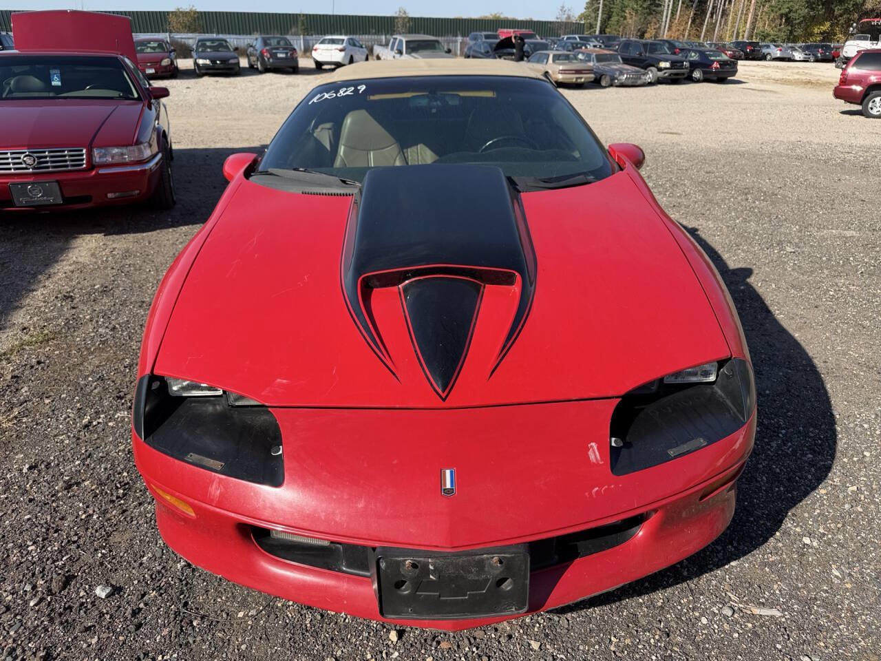 Used 1995 Chevrolet Camaro Z28 RWD image 7