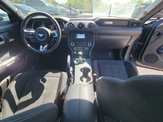 Used 2022 Ford Mustang EcoBoost image 2