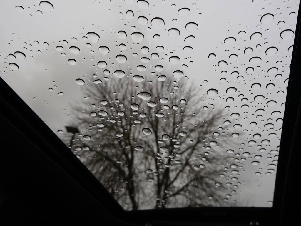 Used 2025 Hyundai Elantra N image 17