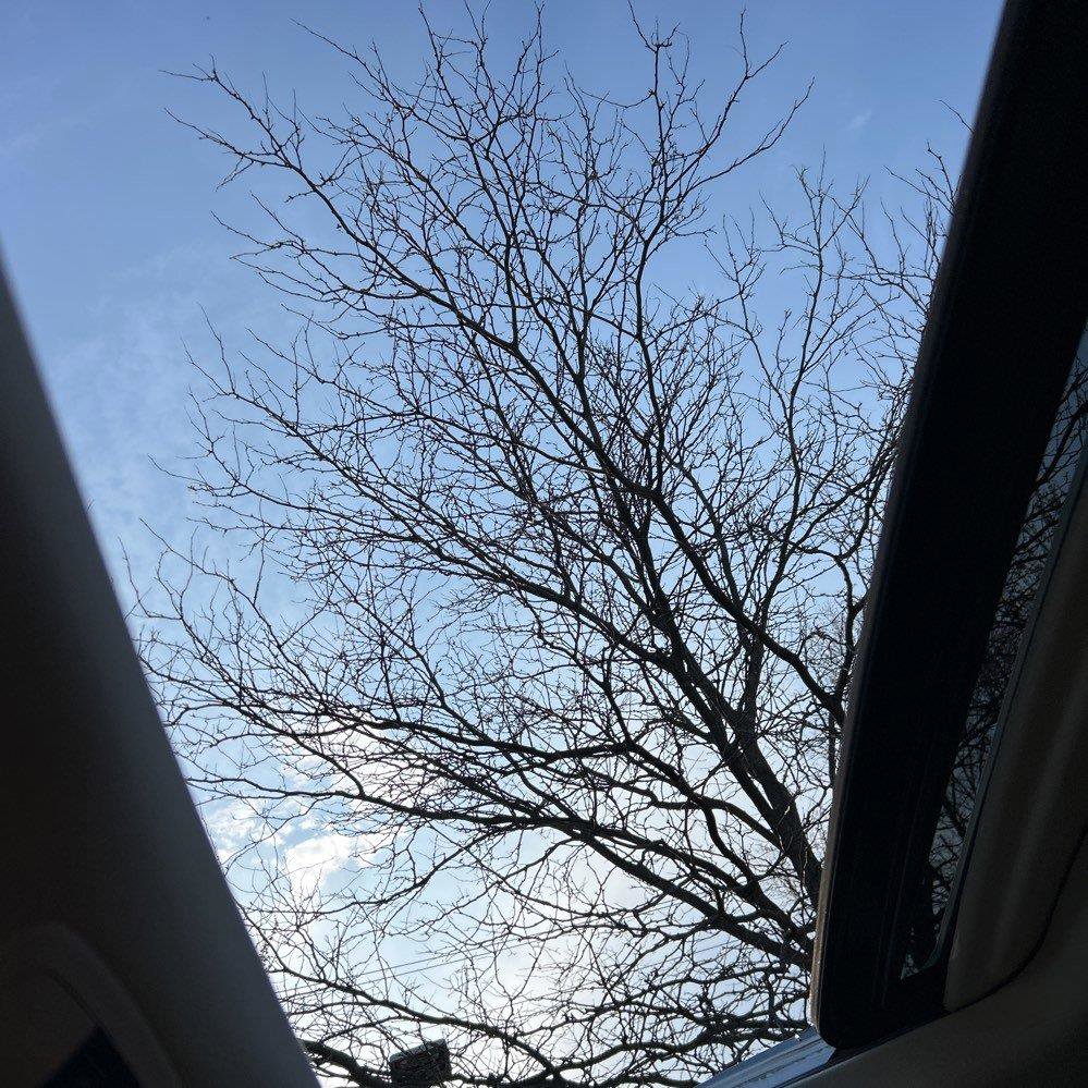 Used 2022 Lexus GX 460 Premium w/ Premium Plus Package image 13