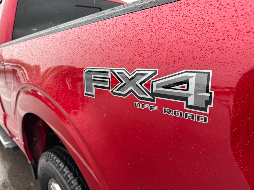 Used 2024 Ford F150 XLT w/ Equipment Group 302A MID AWD/4WD image 8