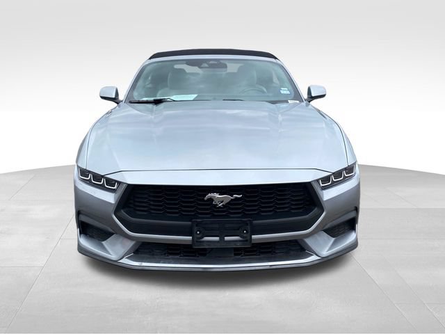 Used 2024 Ford Mustang Premium RWD image 2