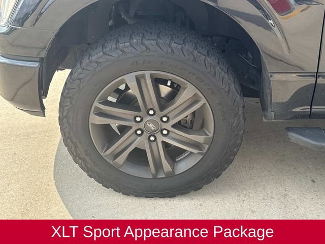 Used 2021 Ford F150 XLT w/ Equipment Group 302A High image 5