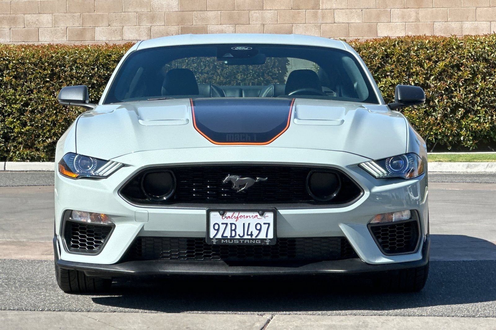 Used 2021 Ford Mustang Mach 1 w/ Equipment Group 700A RWD image 10