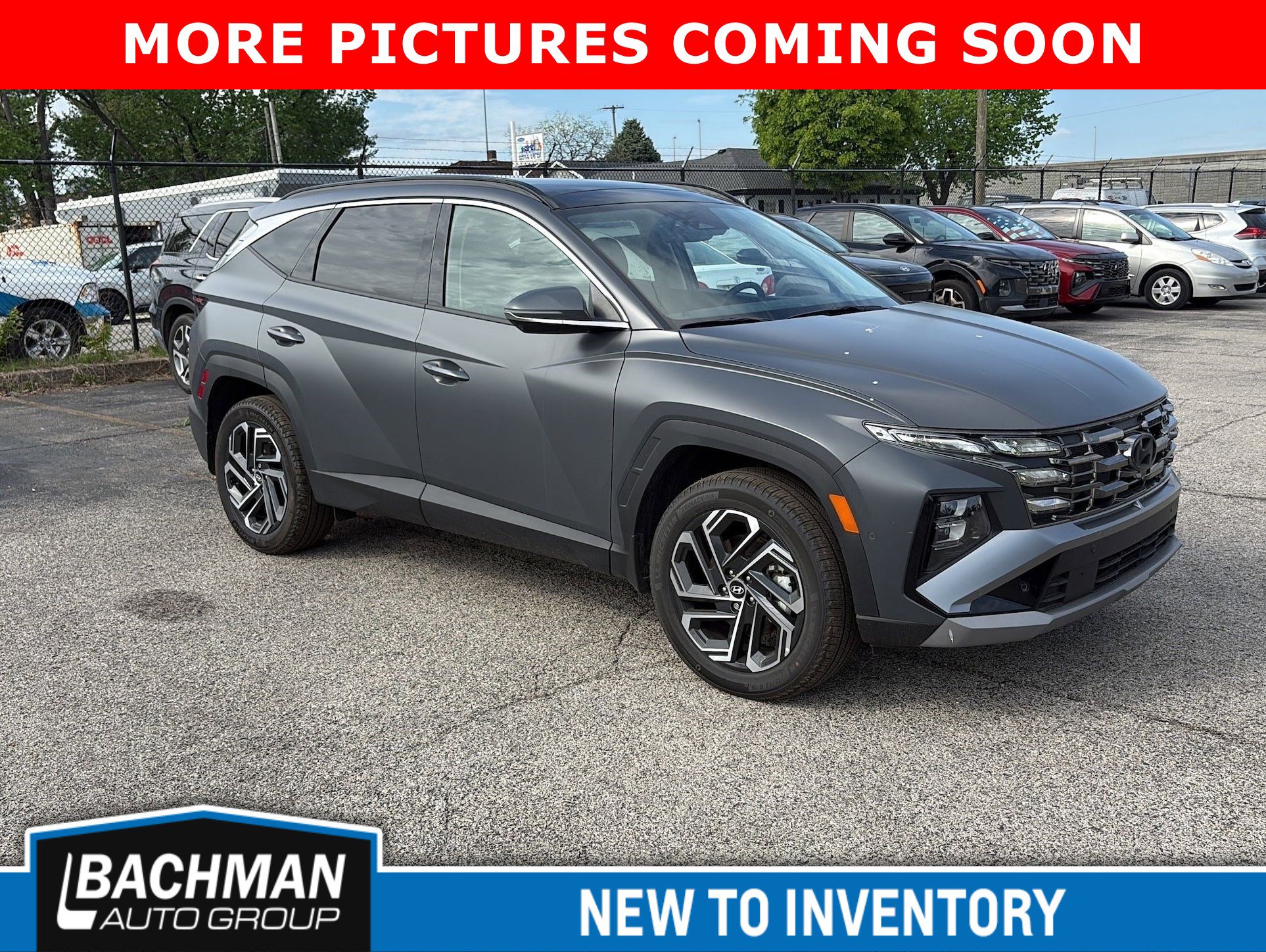 Used 2025 Hyundai Tucson Limited image 2