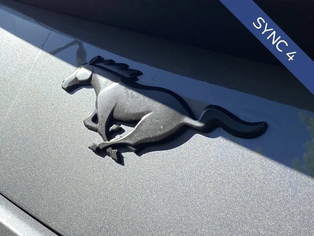 Used 2025 Ford Mustang Coupe RWD image 10