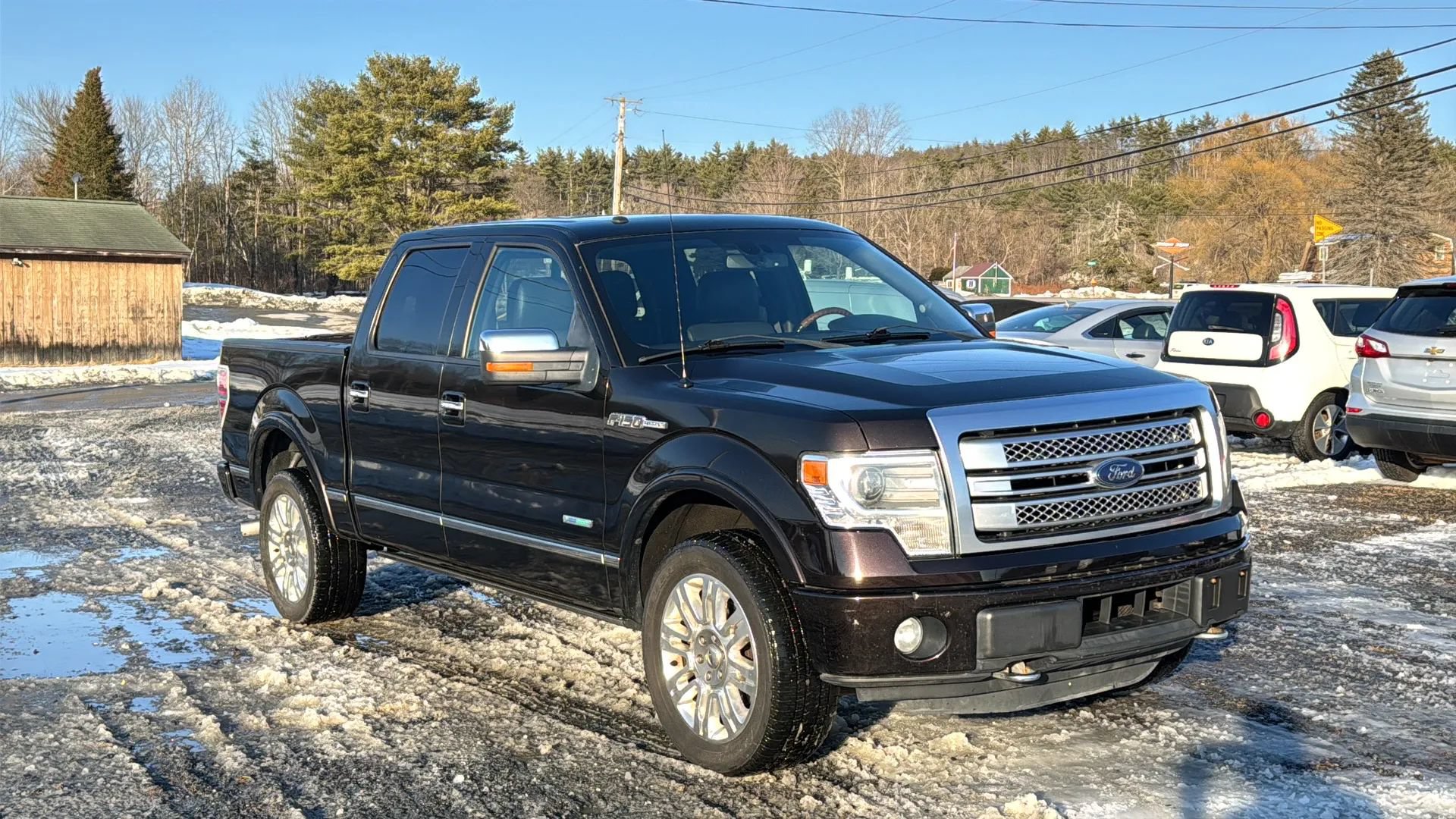 Used 2014 Ford F150 Platinum AWD/4WD image 1