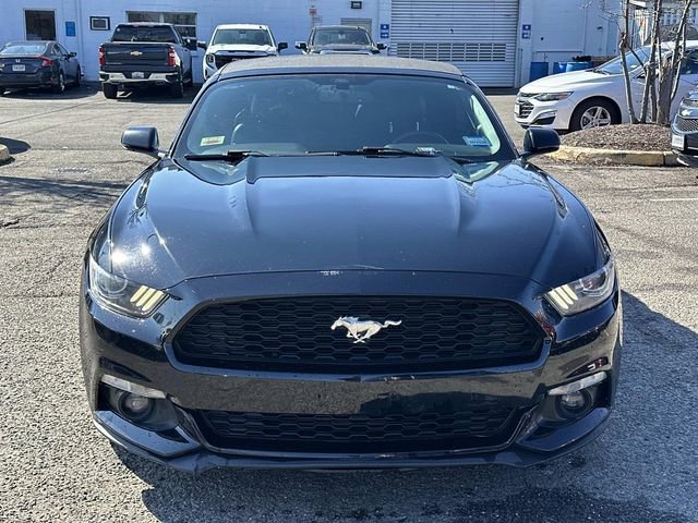 Used 2017 Ford Mustang Premium image 6