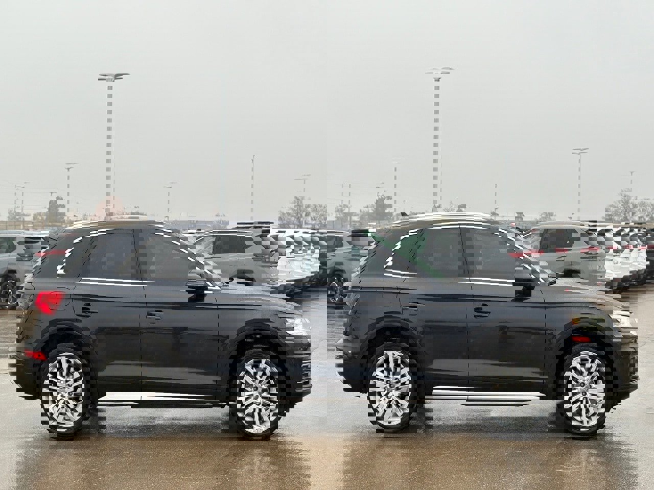 Used 2019 Audi Q5 2.0T Premium Plus w/ Premium Plus Package image 5