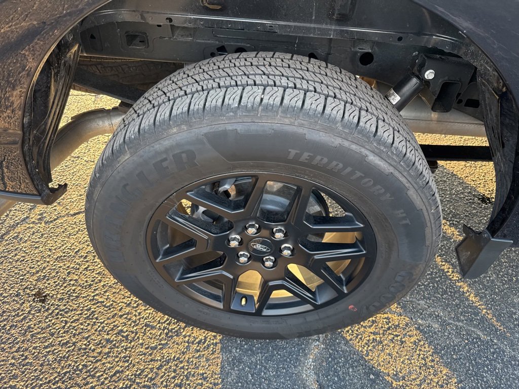 Used 2024 Ford F150 STX w/ STX Black Appearance Package image 21