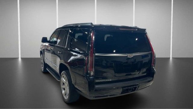 Used 2019 Cadillac Escalade Luxury image 5