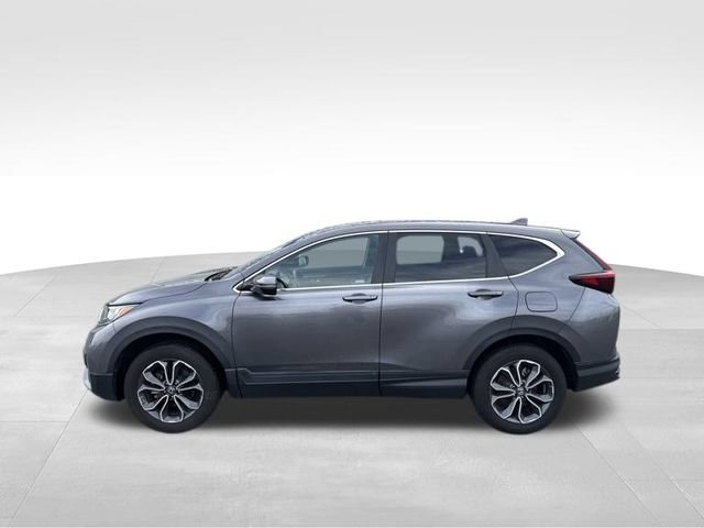 Certified 2022 Honda CR-V EX-L image 5