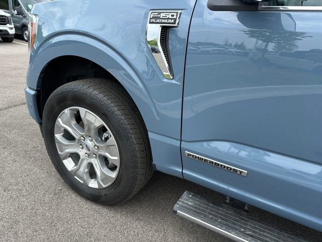 Used 2023 Ford F150 Platinum w/ Equipment Group 701A High image 9