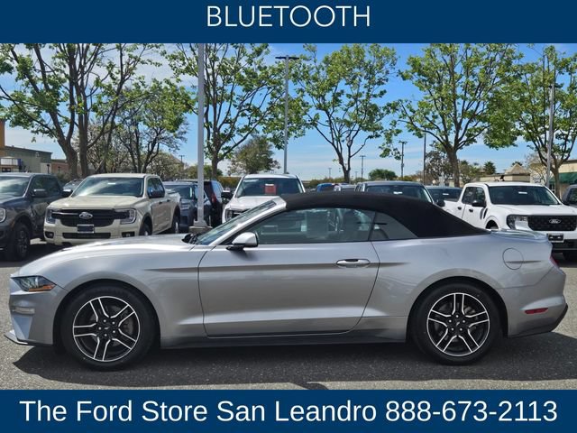 Used 2022 Ford Mustang Premium RWD image 5
