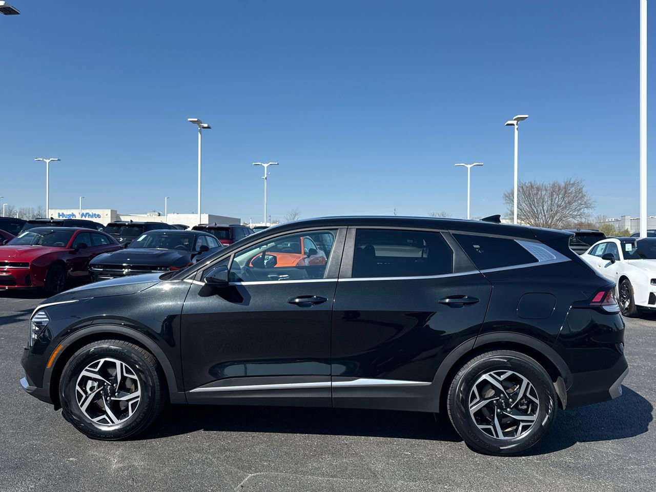 Used 2024 Kia Sportage LX image 6