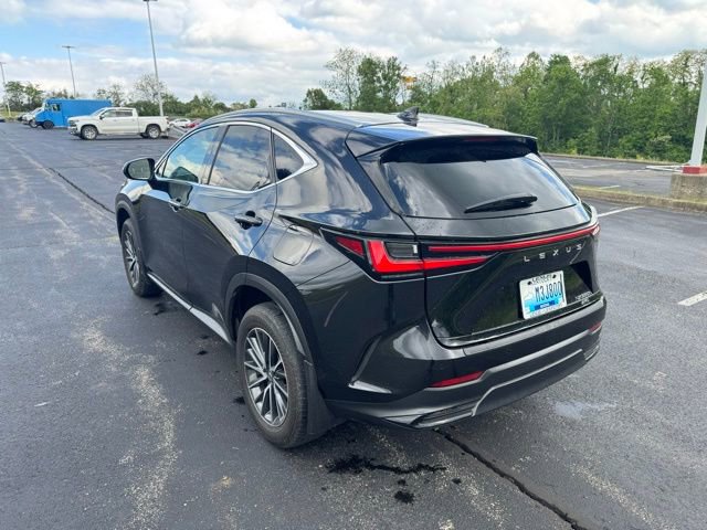 Used 2025 Lexus NX 350h AWD w/ Accessory Package (2T) image 5