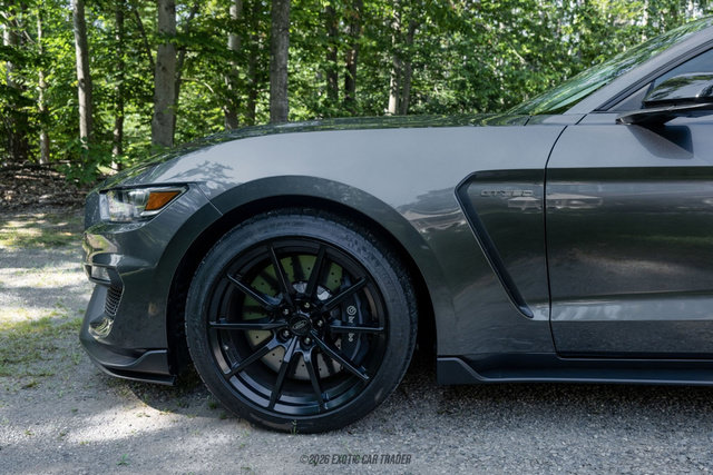 Used 2015 Ford Mustang Shelby GT350 RWD image 4
