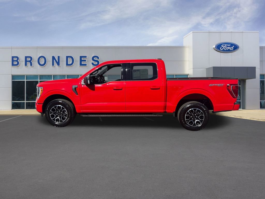 Used 2023 Ford F150 XLT w/ Equipment Group 302A High