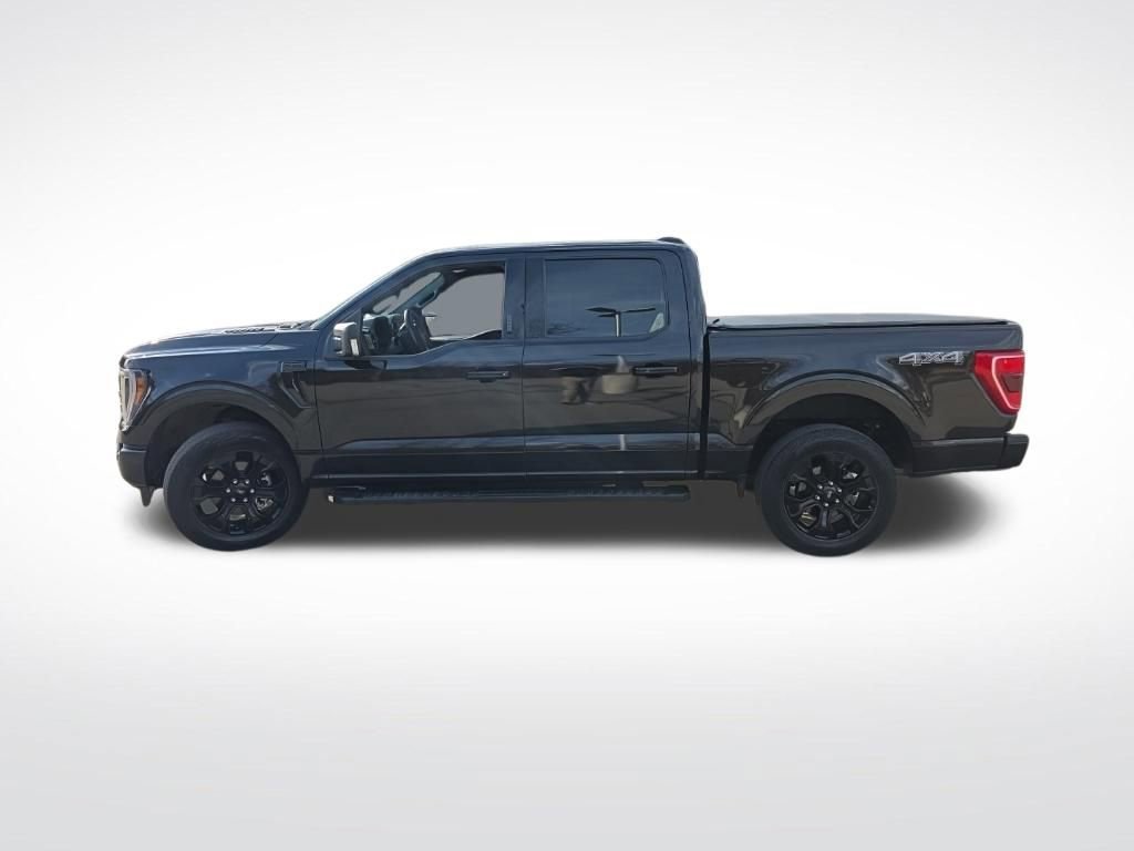Used 2023 Ford F150 XLT w/ Equipment Group 302A High image 8