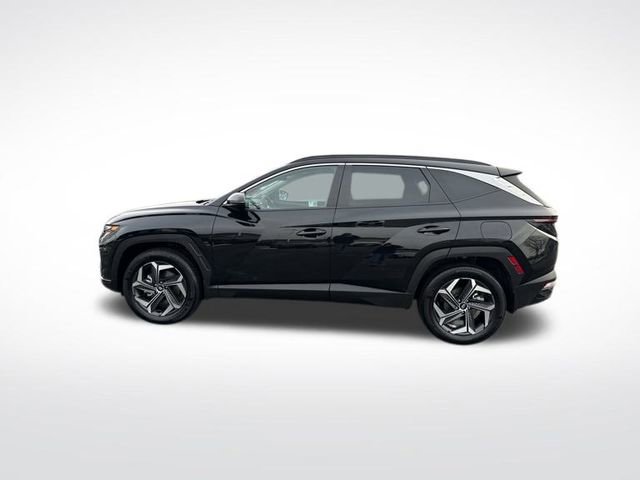 Used 2024 Hyundai Tucson SEL video 2