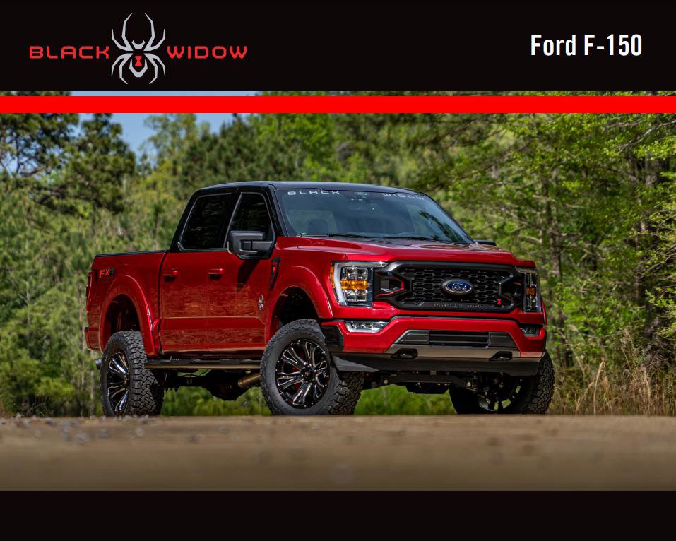 New 2025 Ford F150 XL w/ Equipment Group 103A High image 11