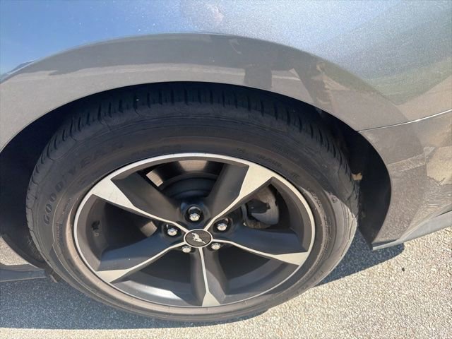 Used 2022 Ford Mustang EcoBoost w/ Equipment Group 101A image 17