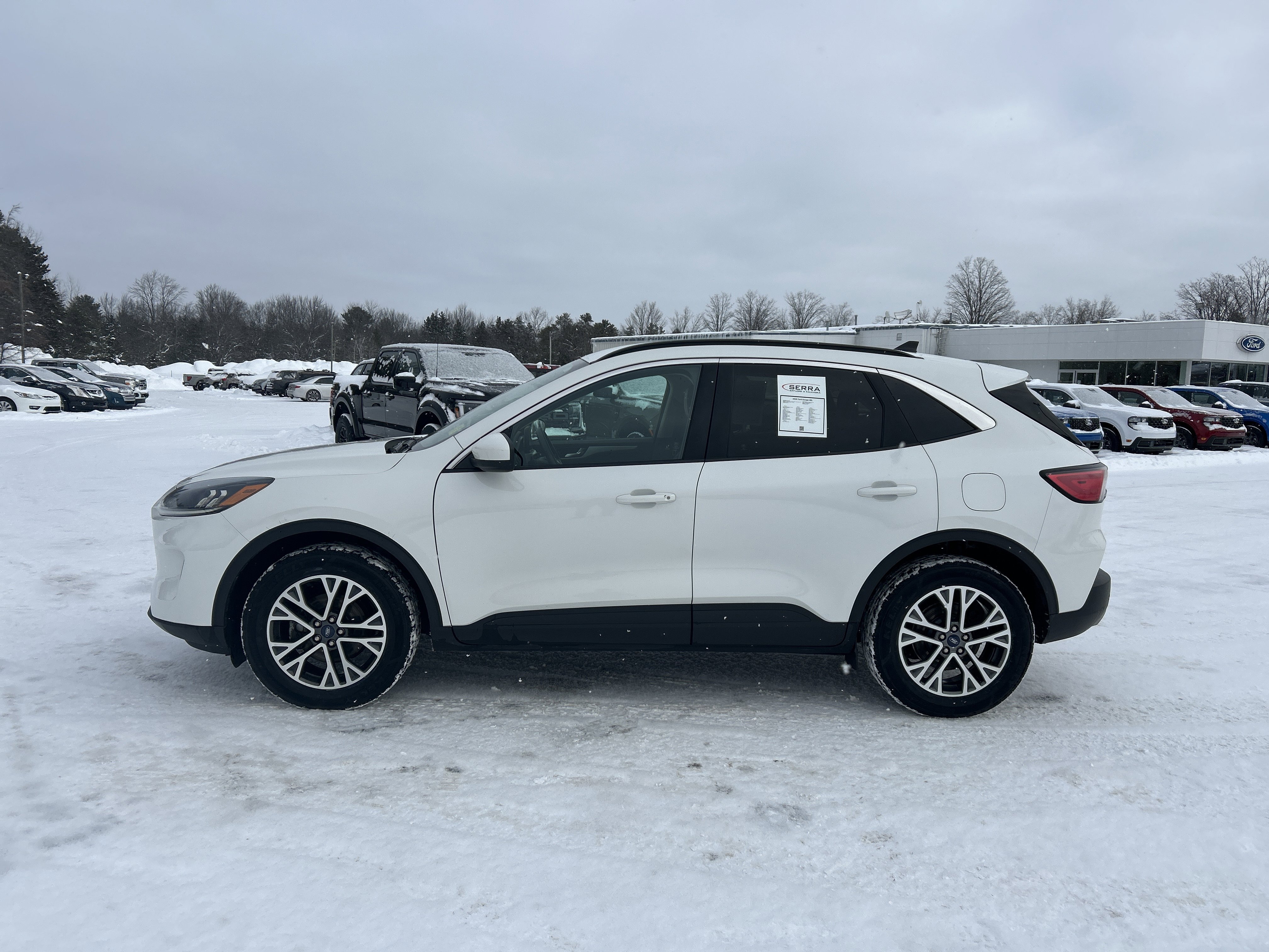 Used 2020 Ford Escape SEL image 6