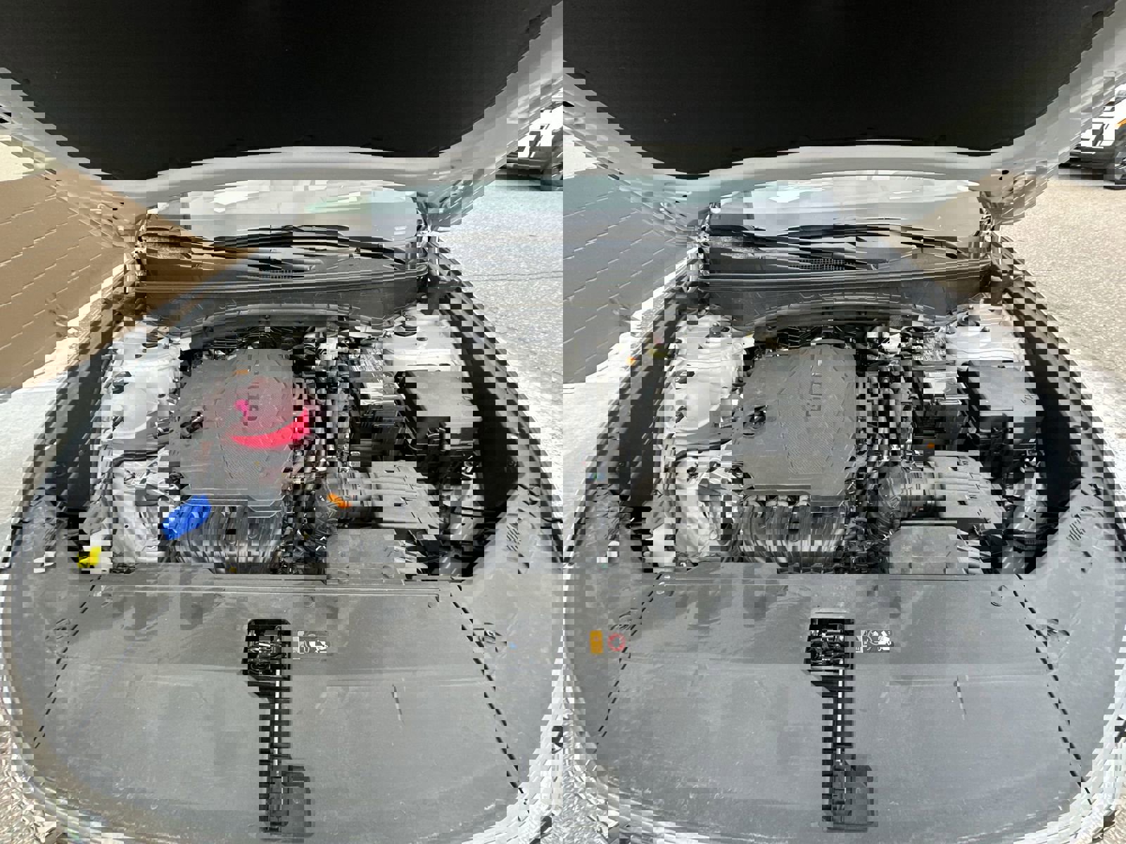 Used 2025 Hyundai Tucson Limited image 31