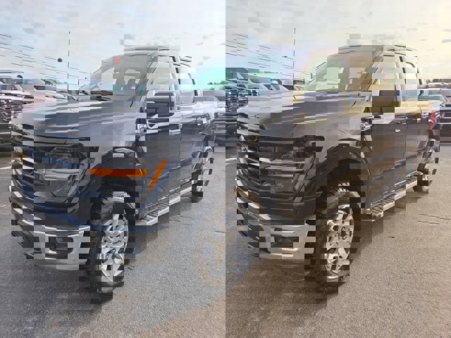 Used 2025 Ford F150 XLT w/ Equipment Group 301A Standard image 2