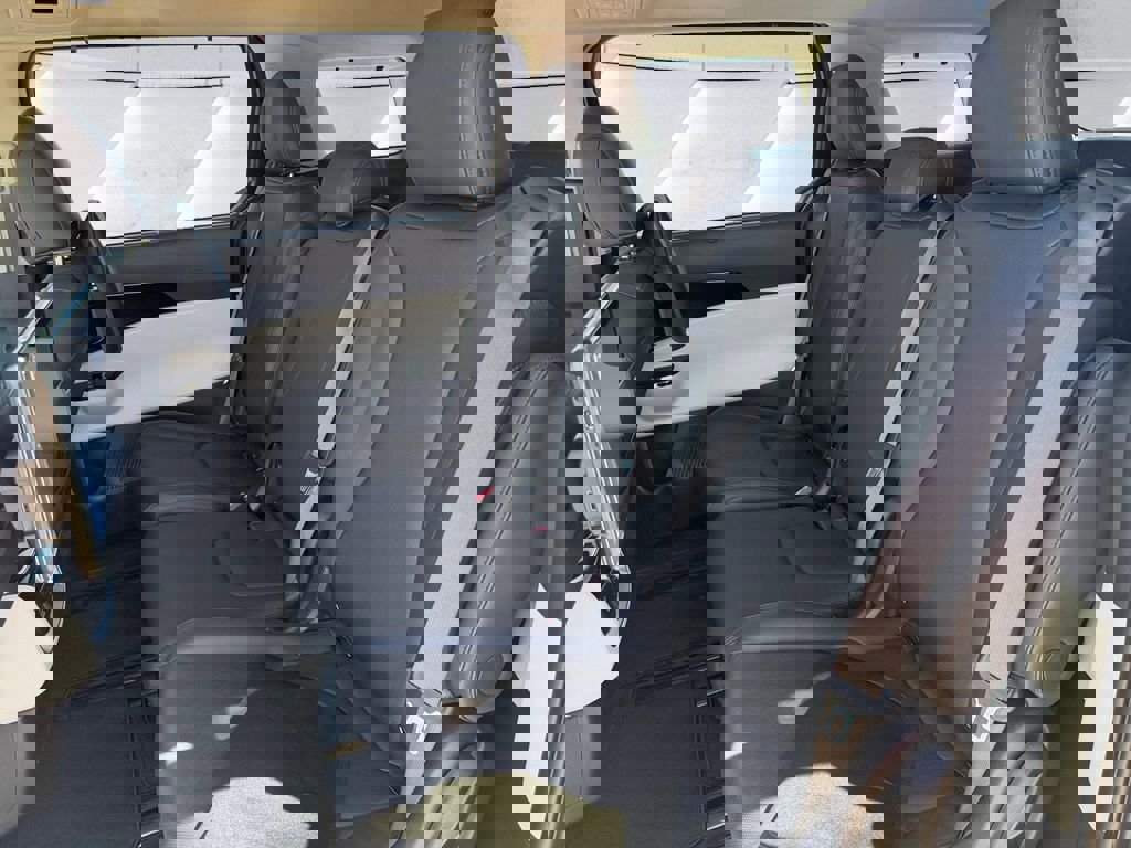 Used 2024 Kia Carnival SX image 10