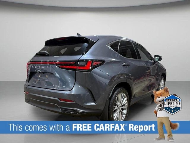 Used 2024 Lexus NX 350 AWD w/ Luxury Package image 3