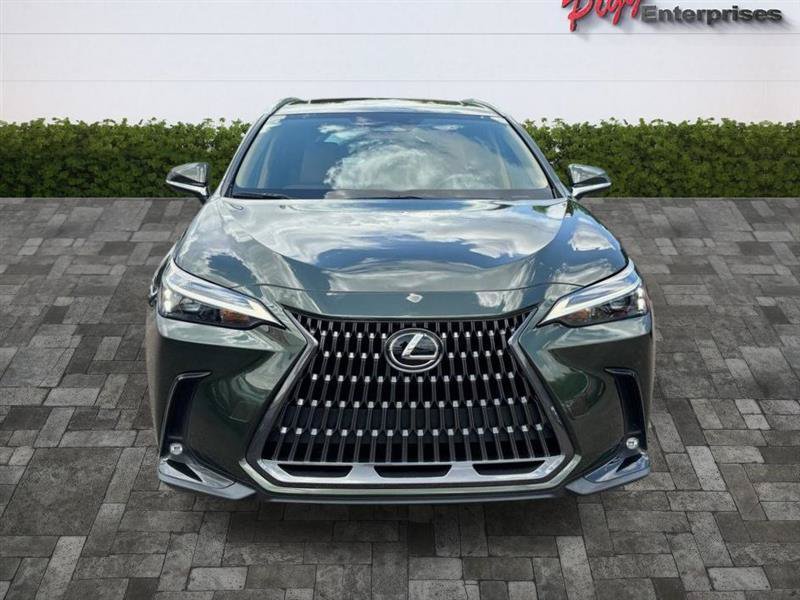Used 2024 Lexus NX 350 AWD w/ Cold Area Package image 6