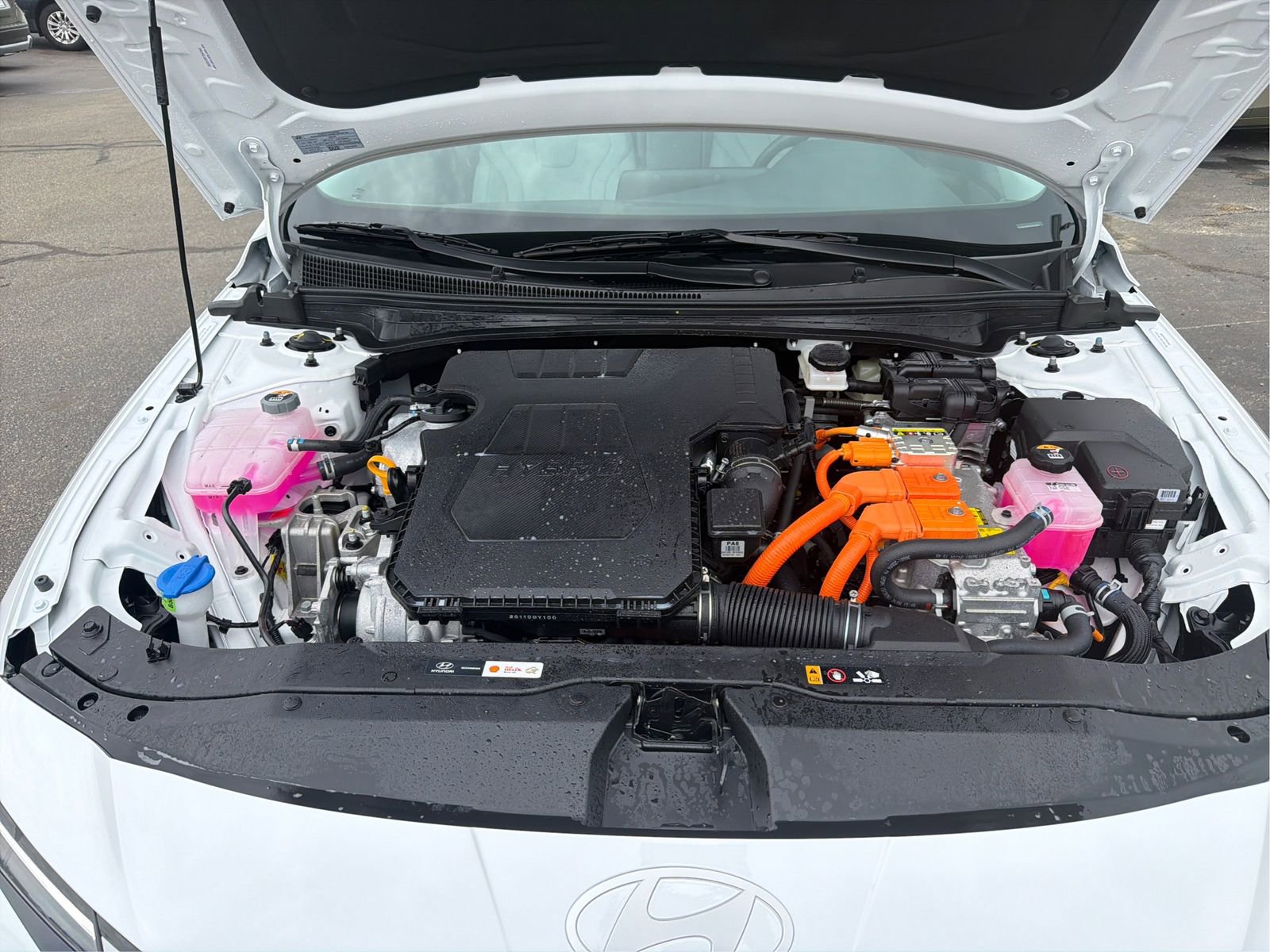 Certified 2025 Hyundai Elantra Limited image 24