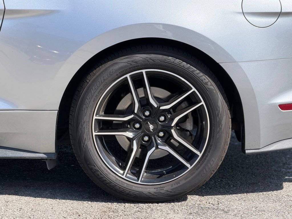 Used 2023 Ford Mustang Premium RWD image 3