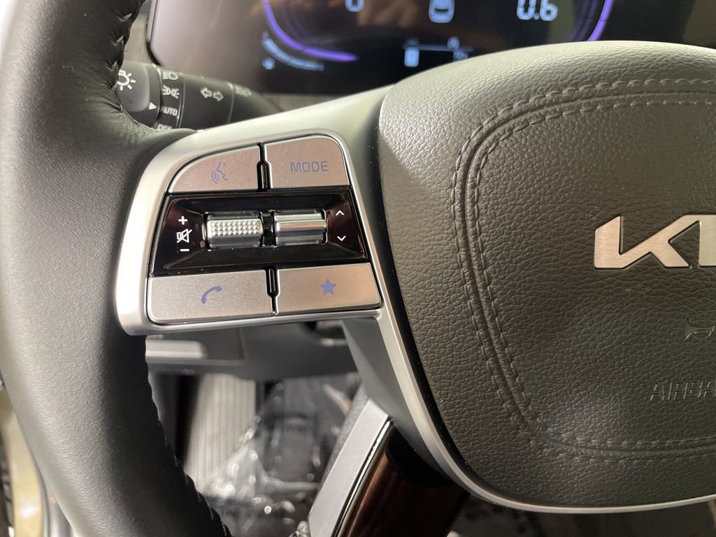 New 2025 Kia Telluride EX image 20