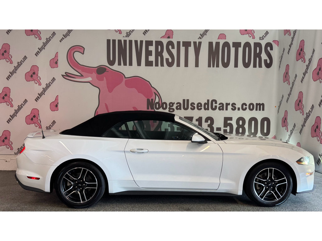 Used 2022 Ford Mustang Premium RWD image 10
