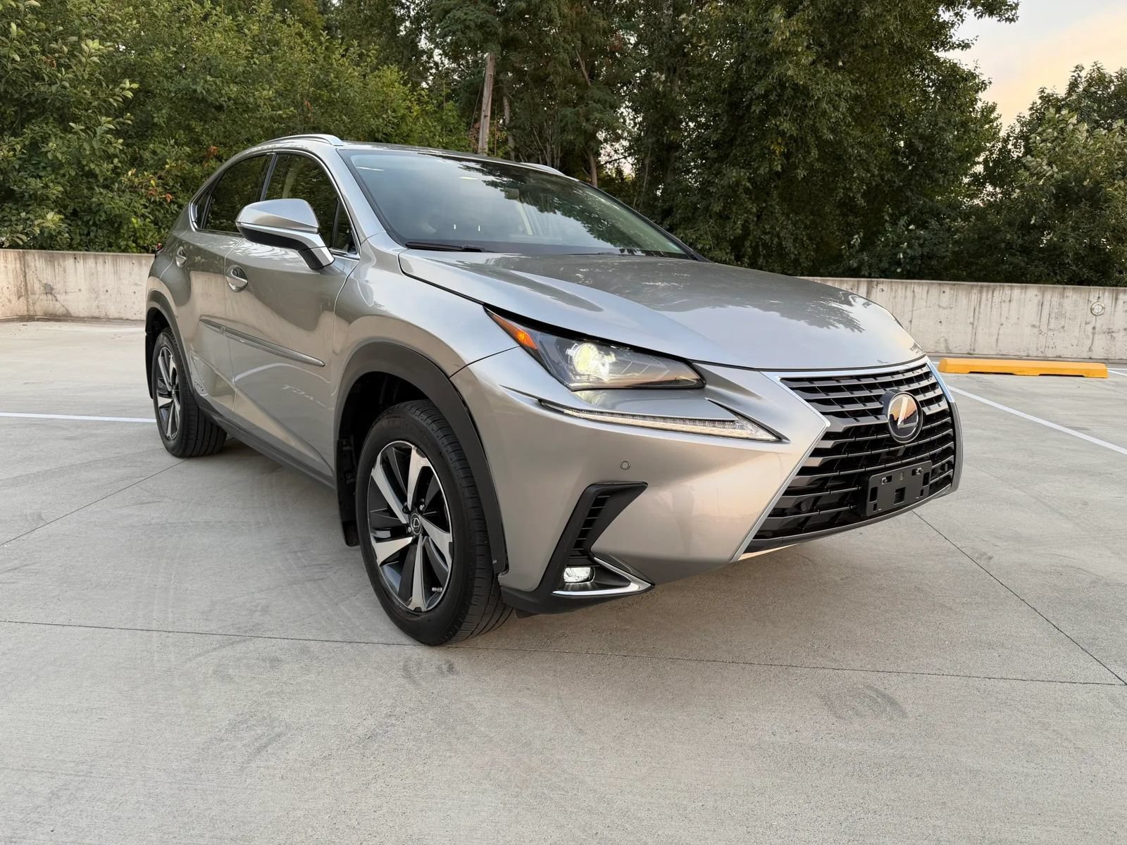 Used 2021 Lexus NX 300h AWD w/ Premium Package image 5