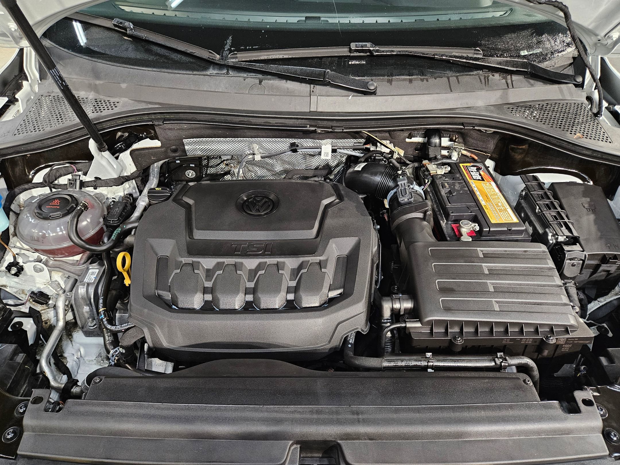 Used 2024 Volkswagen Tiguan SE image 19