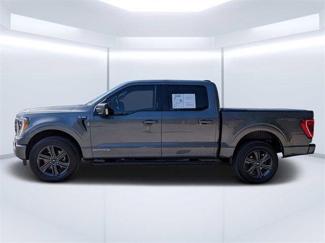 Used 2023 Ford F150 XLT w/ Equipment Group 302A High image 6