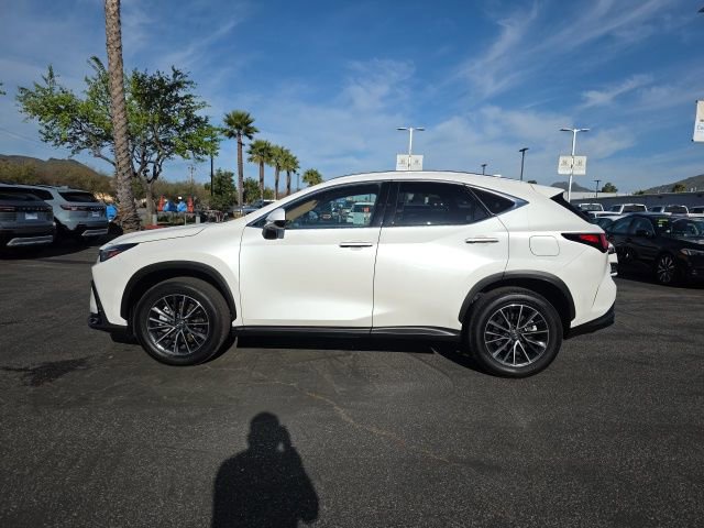 Used 2025 Lexus NX 350 AWD w/ Cold Area Package image 6