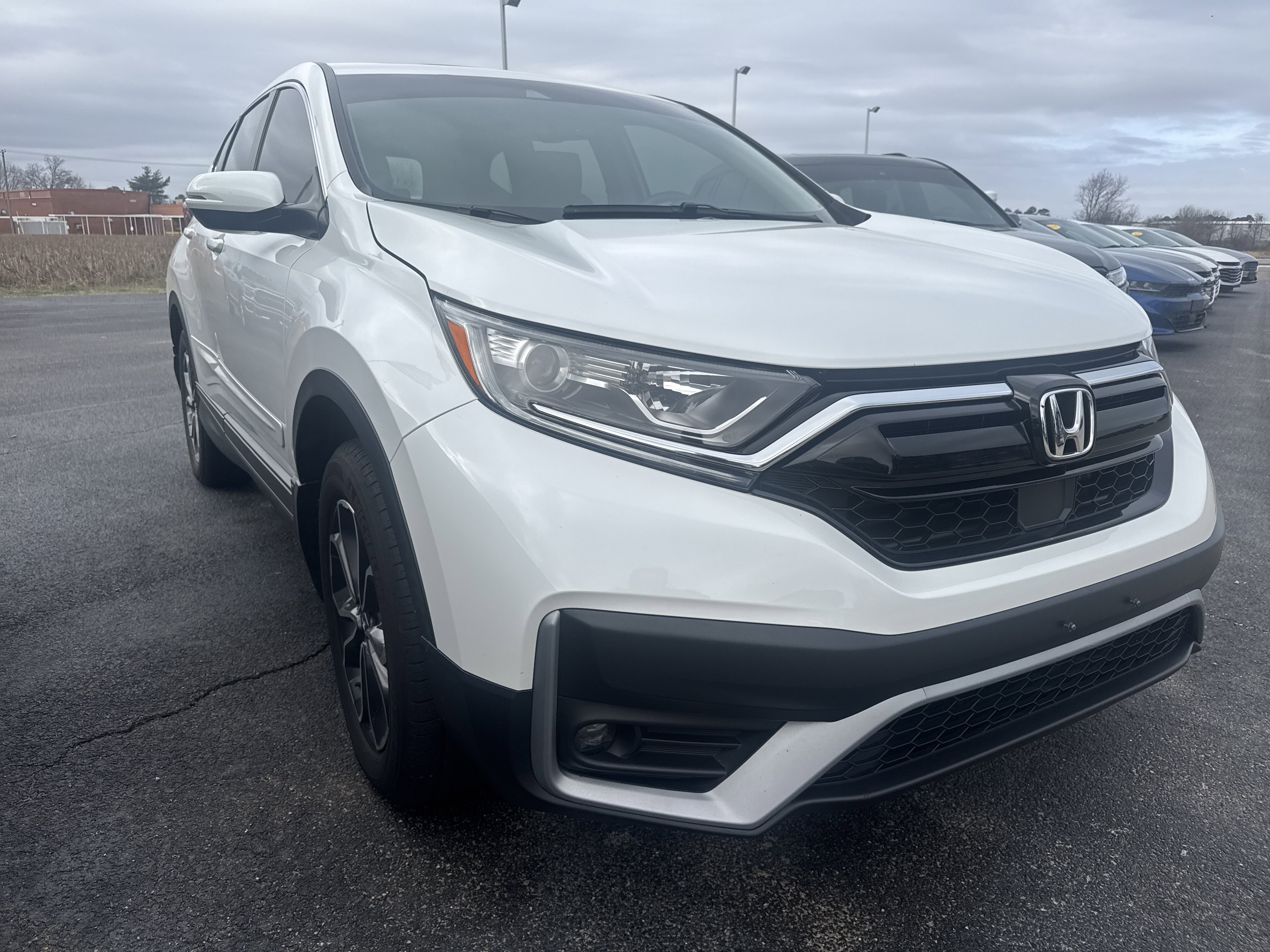 Used 2020 Honda CR-V EX-L image 5