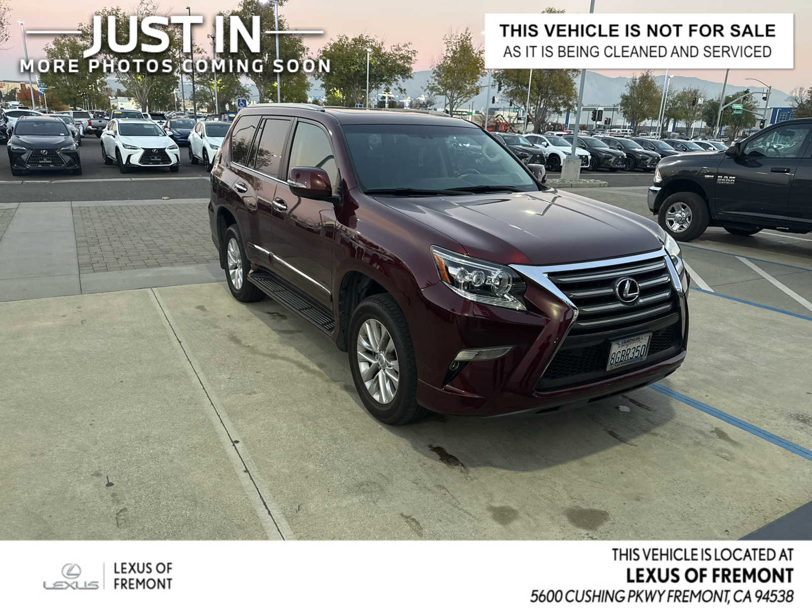 Used 2019 Lexus GX 460 Premium