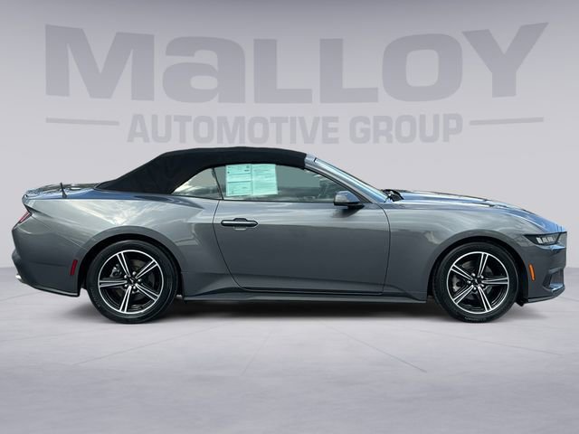 Certified 2024 Ford Mustang Premium image 6