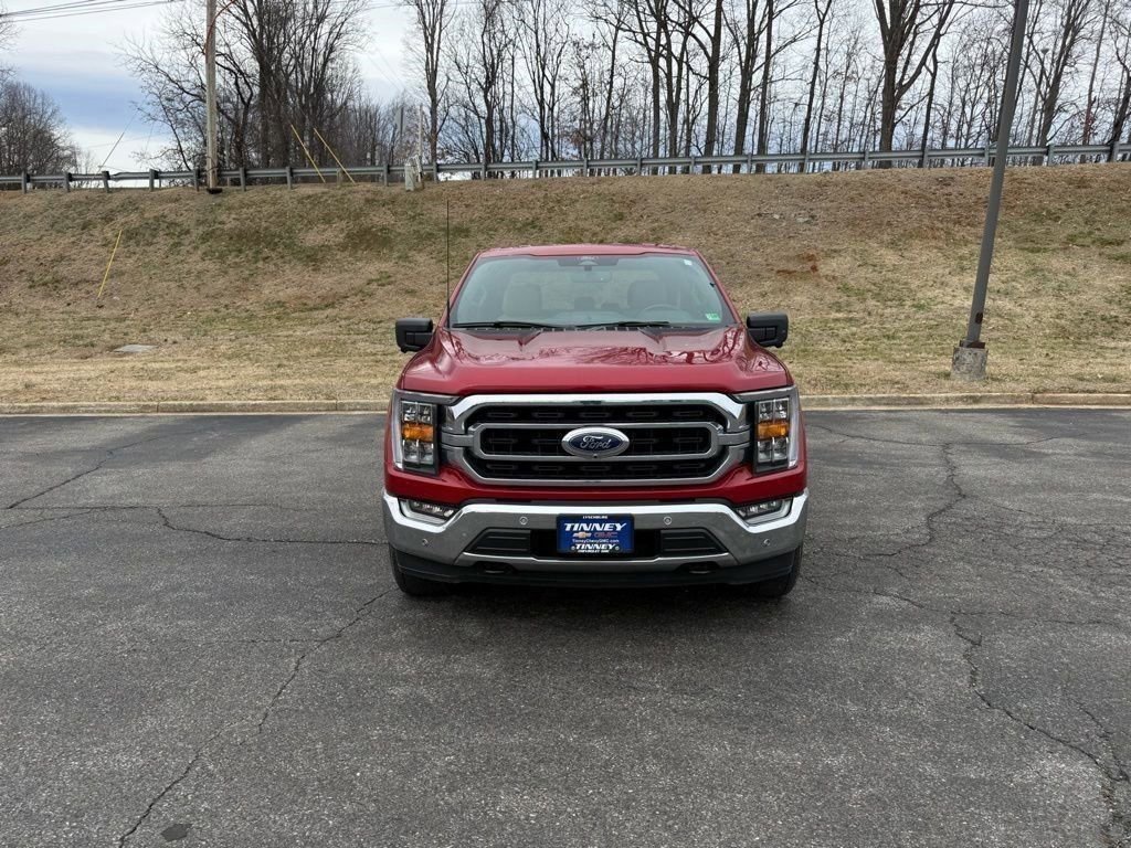 Used 2022 Ford F150 XLT w/ Equipment Group 302A High image 2