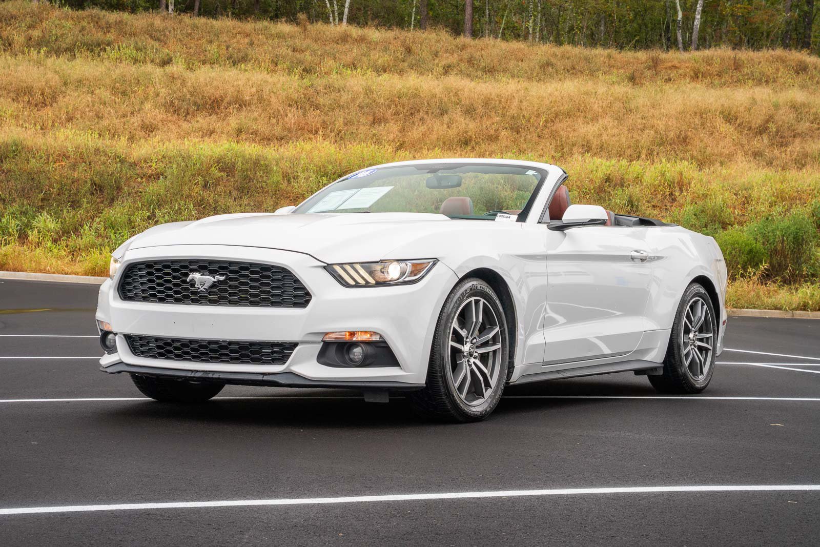 Used 2016 Ford Mustang Premium RWD image 5