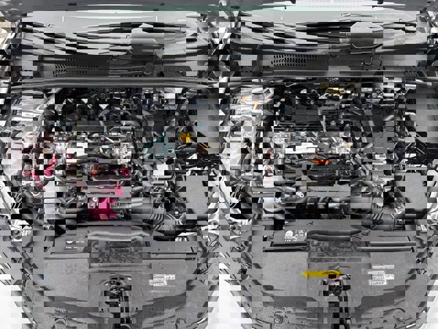 Used 2025 Toyota Prius XLE image 2